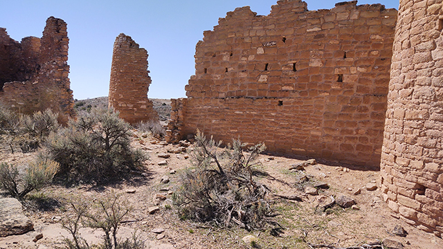 walls