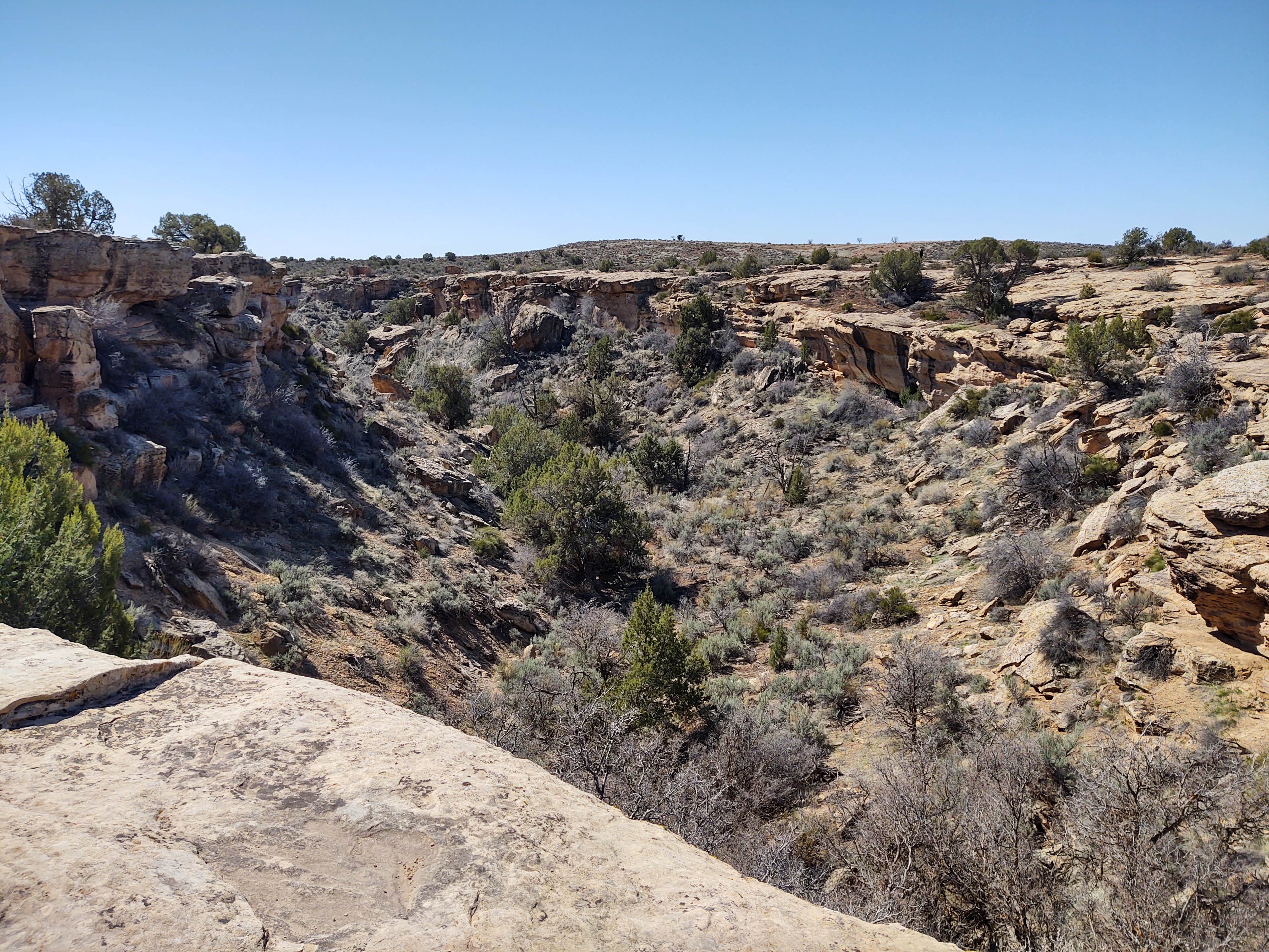 canyon view hovenweep
